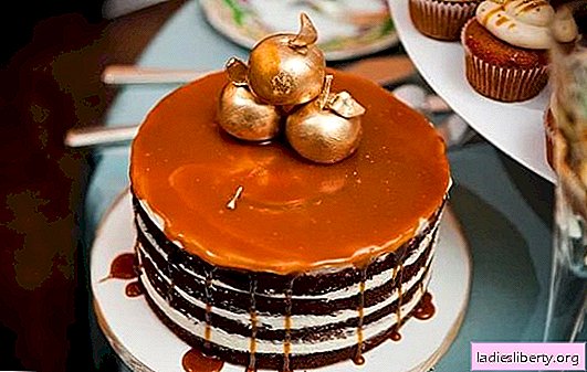 Honey glaze: beautiful baking design. Options for Honey Glaze with Syrups, Fruits and Chocolate