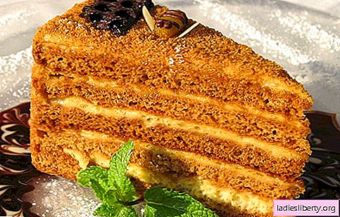 Honey cake - the best recipes. How to cook honey cake correctly and tasty.