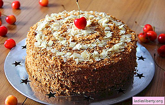 Honey cake with condensed milk - a dessert for any occasion. How to bake a delicious honey cake with condensed milk: recipes for beginners