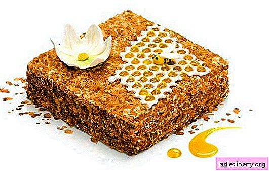 Honigkuchen mit saurer Sahne. Verschiedene Möglichkeiten von Teig und Imprägnierung für Honigkuchen mit saurer Sahne.