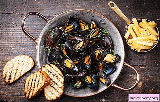 Mussels: calorie content, composition, useful properties and possible harm to health. How to use mussels for maximum benefit