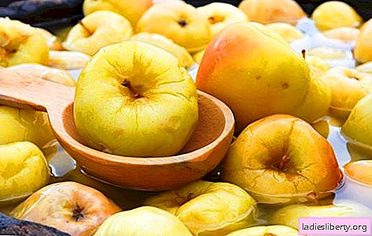 Des pommes trempées à la maison - la vitamine est en marche! Les meilleures recettes de pommes trempées à la maison dans des fûts et des pots