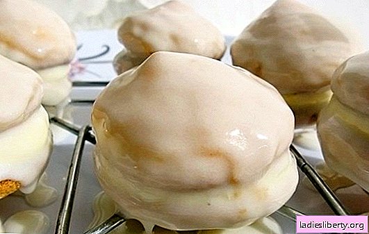 حليب الصقيل - تصميم دقيق الخبز. أفضل الوصفات لصنع طلاء الحليب والحلويات به