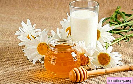 Milk with honey for cough: fighting colds and inflammation. Simple recipes for milk with cough honey for children and adults