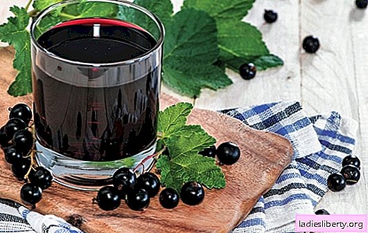 Bessenfruitdrank - kook in zomer en winter! Recepten van verschillende fruitdranken van rode, zwarte, bevroren en verse krenten