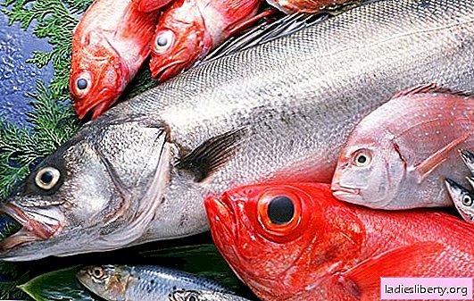 Morske ribe: koristi in pozitivni učinki na telo. Kdaj so morske ribe škodljive za zdravje?