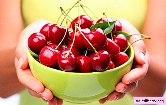 Is it possible for pregnant cherries: what benefits does it bring to the body. Is it possible for a nursing mother cherries: is it harmful or useful?
