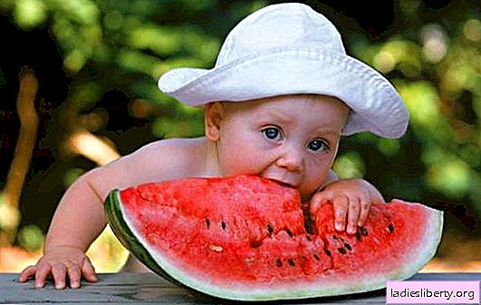 Is it possible to eat a watermelon with seeds: facts that not everyone knows about. Useful and harmful properties: is it possible to eat a watermelon with seeds?