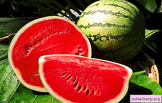Can watermelons be kept fresh until the winter holidays? All ways to store whole watermelons: where, how and how much they can be stored
