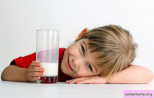 O leite de vaca pode ser dado às crianças? É necessário beber puro? De que idade e de que forma o leite pode ser dado às crianças?