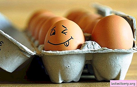 É possível beber ovos crus: quais são os benefícios para a saúde do produto? Posso beber ovos crus: os prós e contras do procedimento