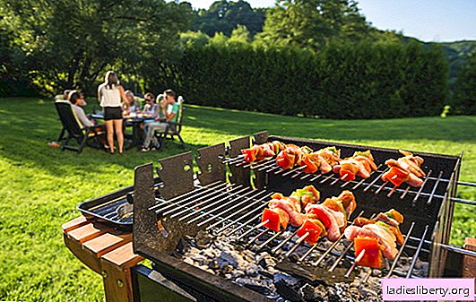 Is it possible to fry kebabs in the park, in the forest or in the courtyard of the house - in the barbecue. Rules for frying kebabs in the park, in the forest or in your yard