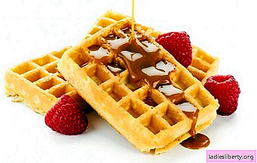 Soft waffles amaze with their tenderness! Homemade recipes for soft waffles in a waffle iron with milk, sour cream, butter with different fillings