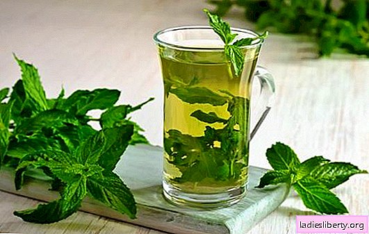 Peppermint: useful properties, application in cosmetology, cooking and alternative medicine. Peppermint: contraindications