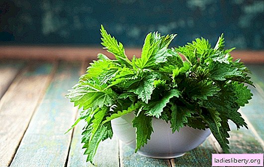 Popular signs and magical properties of nettle