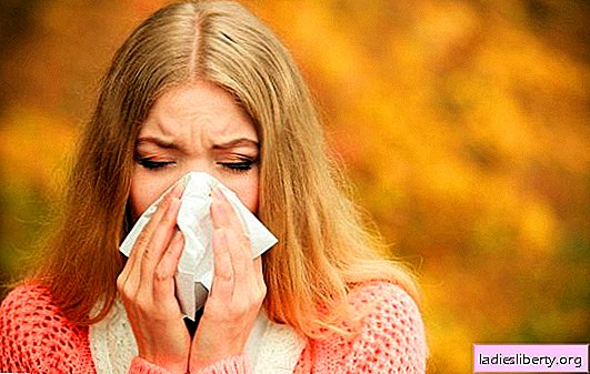 Folk remedies for the common cold in all its diversity! Useful and harmful recipes for getting rid of the common cold using non-traditional methods