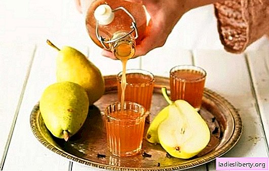 Tintura de pera en casa: ¡delicioso alcohol! Una selección de las mejores recetas de tintura de pera en casa