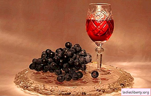 Tinktura grozdja doma - to ni vino! Recepti za dišeče in svetle grozdne tinkture doma