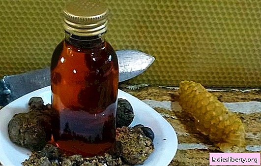 Propolis tincture at home: the best recipes. How to cook propolis tincture at home