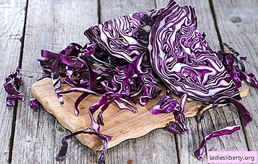 Extraordinary red cabbage - health benefits. What is important to know about the composition and dangers of red cabbage