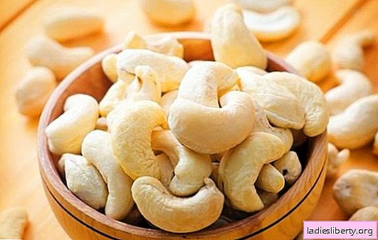 An ambiguous cashew nut, what is its benefit and harm. Only important information about cashew, its calorie content, benefits and harms