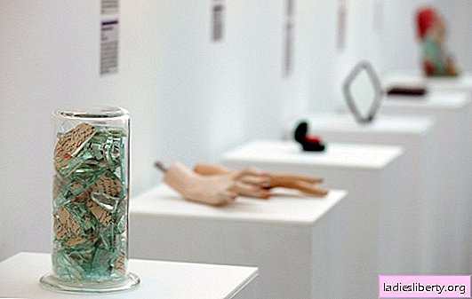 Museos aburridos. ¿Qué se exhibe en el Museo de las Mentiras, los copos de nieve o Kamikaze?