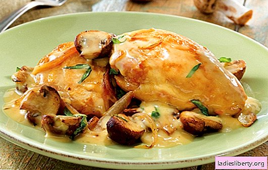 Mørt kylling i rømme saus er deilig! Enkle, velprøvde kyllingoppskrifter i rømme med sopp, hvitløk, svisker