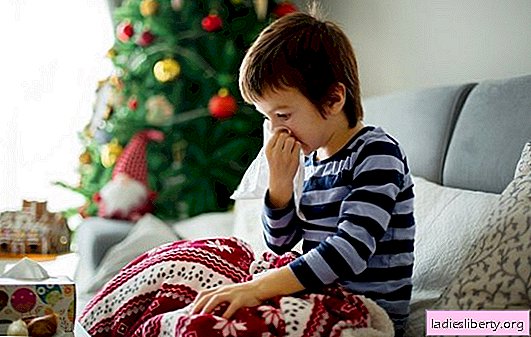 “New Year's” allergy: dangerous Christmas trees, dishes and toys