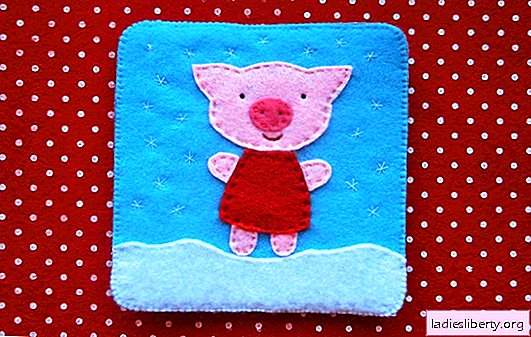 Soporte de Año Nuevo para tazas con un cerdo: tocar artesanías para el Año Nuevo. Taller con fotos paso a paso.