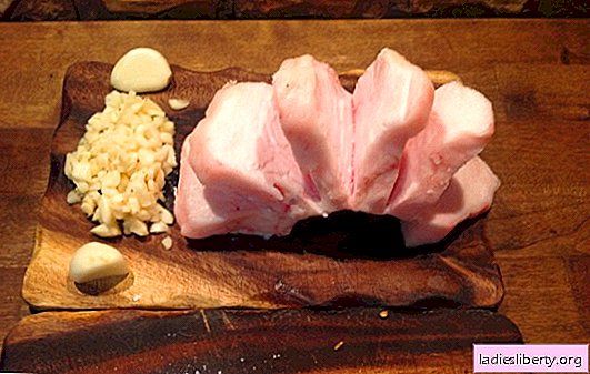 Pada sifat gastronomi ekstrak lemak kambing: faedah dan bahaya. Penggunaan ekor lemak kambing dalam masakan dan ubat