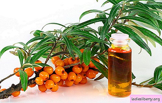 Sea buckthorn: the benefits and harms of the “orange miracle”. Calorie content, methods of using sea buckthorn, the properties of sea buckthorn oil
