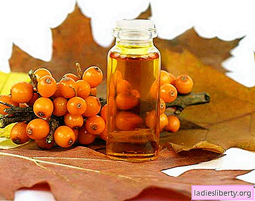 L'huile d'argousier et ses propriétés médicinales. Indications, contre-indications et toutes les méthodes d'application de l'huile d'argousier bénéfique pour la santé.