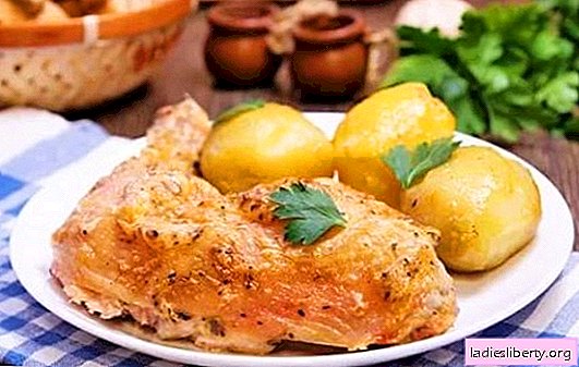 Legs in mayonnaise - golden brown guaranteed. Simple recipes for fried, baked, stuffed legs with mayonnaise
