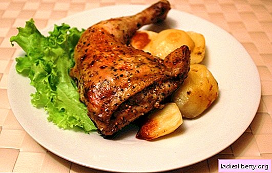 Legs baked in the oven - you will not be indifferent! Recipes of chicken legs baked in the oven with a crust, in the sleeve, in foil