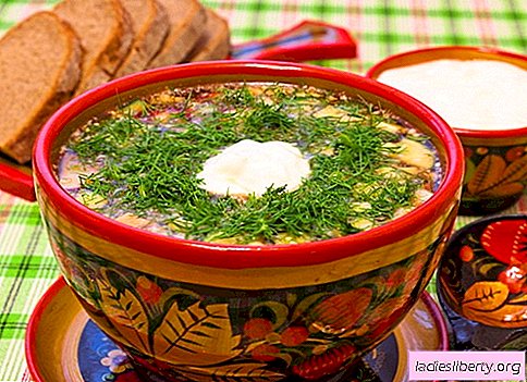 Okroshka: recetas clásicas probadas. Cómo cocinar bien y sabroso el okroshka en kvas, kéfir, suero, agua mineral y mayonesa.