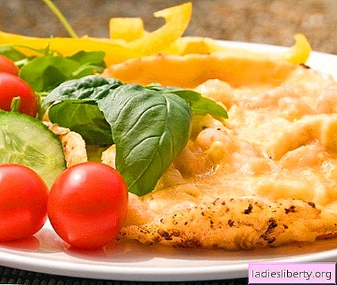 Omelet with chicken - the best recipes. How to cook chicken omelet correctly and tasty.