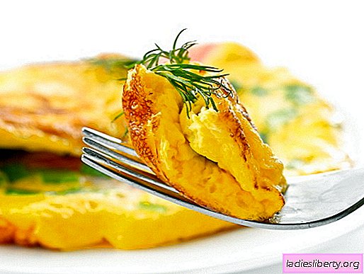 Omelette aux recettes au lait éprouvée. Comment cuire correctement et savourer une omelette au lait.