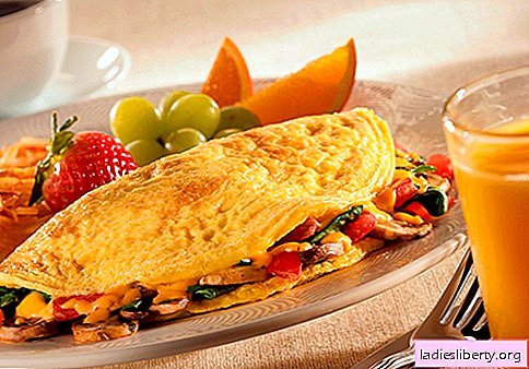 Omelet in a multivariate - proven recipes. How to properly and tasty cook an omelet in a slow cooker.