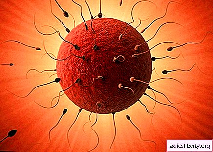 Fertilization - what it is and how the process takes place. Artificial insemination.