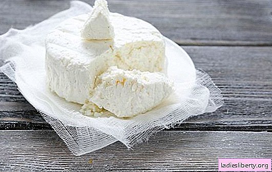 Mistakes in making homemade cottage cheese and cheese