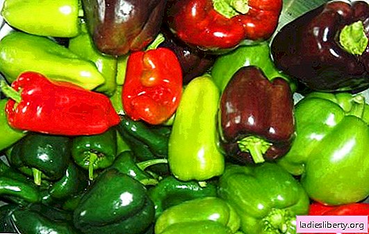 Features of storage of pepper in fresh and ice cream form. How to store bell pepper at home