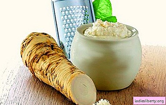 Spicy couple - horseradish with garlic. Make seasonings and sauces, preserve and cook horseradish snacks with garlic