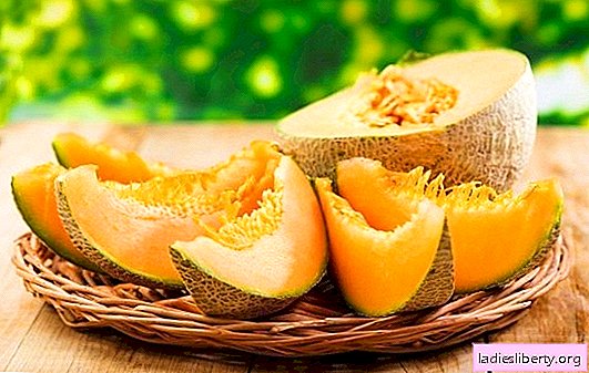 Envenenamiento por melón: los primeros síntomas. Qué hacer si se ha producido una intoxicación por melón: tratamiento y prevención adicional