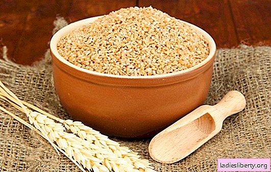 Bran: everything you wanted to know about them! Useful properties of various bran, caloric content and possible harm to bran for the body