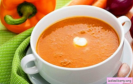 Sopa de purê de legumes - um primeiro prato delicado. Cozinhar deliciosas sopas de legumes: tomate, abobrinha, abóbora, brócolis, espinafre, pimenta