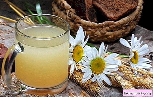 Oat kvass - gives freshness, vitality, reduces weight! Oats kvass at home: benefits and harms to the body