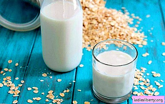 Ovsené mlieko: výhody pri správnom používaní. Existuje nejaké poškodenie ovseného mlieka na tele, kontraindikácie?