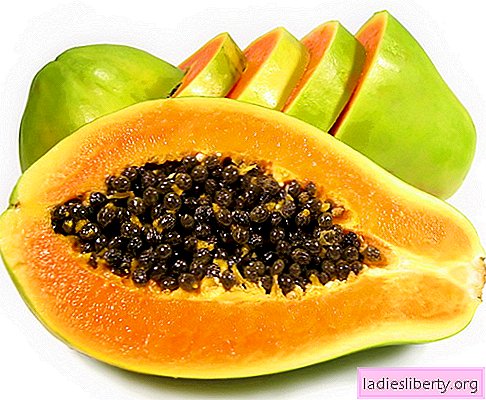 Papaye - description, propriétés utiles, utilisation en cuisine. Recettes à la papaye.