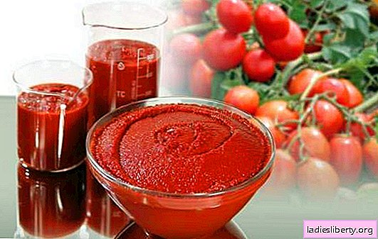 Tomato paste for the winter - a universal preservation. How to cook a delicious pasta from tomatoes for the winter: thick and spicy