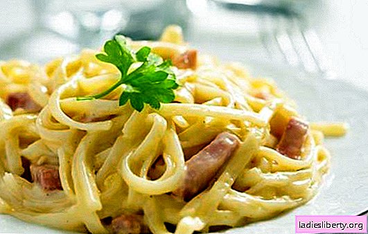 Pasta met spek in een romige saus is een veelzijdig Italiaans gerecht. De beste variaties van het koken van pasta met spek in een romige saus